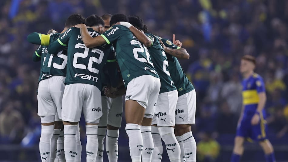 Palmeiras de Brasil. Foto: EFE.