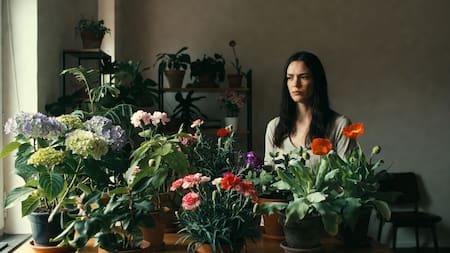 Plantas “mufa”: las 4 flores que, según el Feng Shui, atraen mala suerte para el hogar