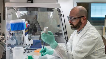 Científicos de la Universidad de Copenhague revelaron cuál es el órgano vital para detener la longevidad. Foto: Unsplash.