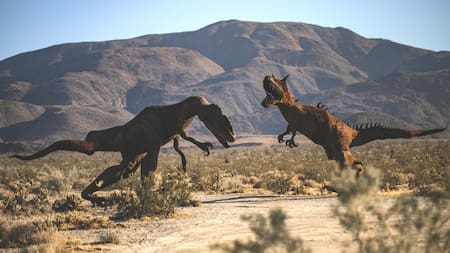 En épocas de menor competencia directa, el tamaño de los animales suele aumentar. Foto: Unsplash.
