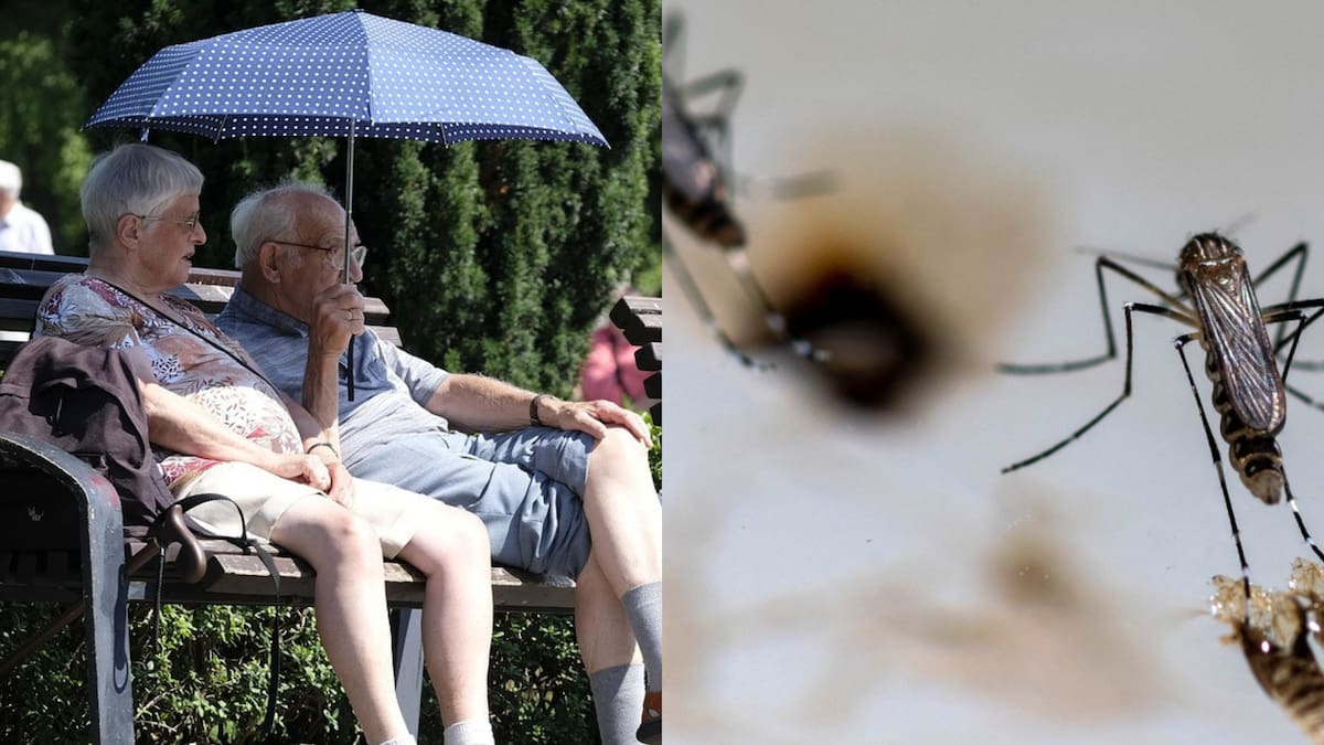 Prevención y vacunas contra los mosquitos para los jubilados de PAMI.