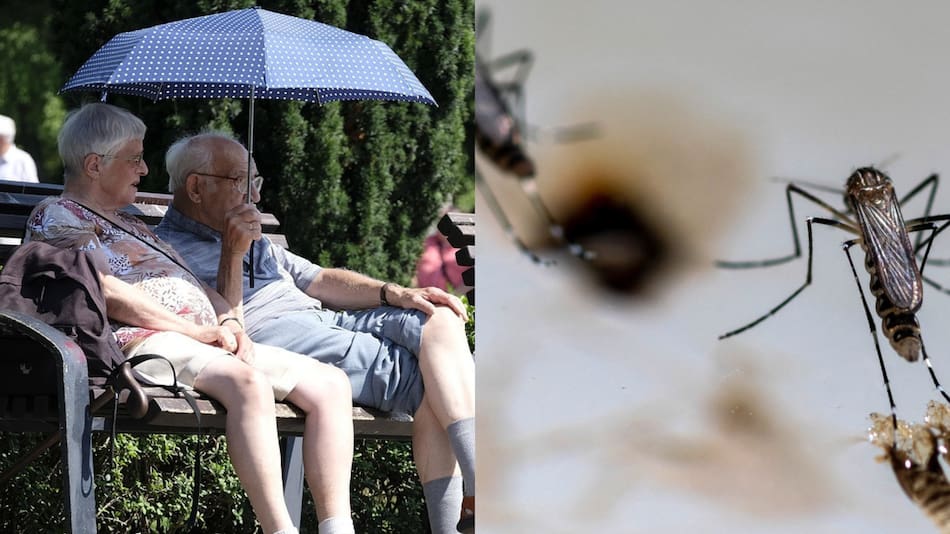 Prevención y vacunas contra los mosquitos para los jubilados de PAMI.