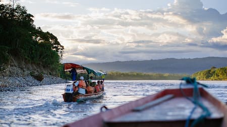Por qué no existe un puente que cruce todo el río Amazonas y cómo es el único intento cercano al cruce total en Brasil