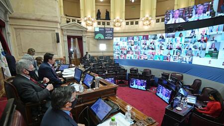 Vicentin, el Senado aprobó un proyecto para crear una comisión investigadora, NA