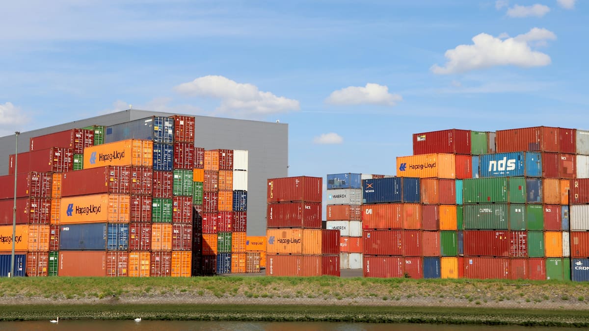 Container, exportaciones.