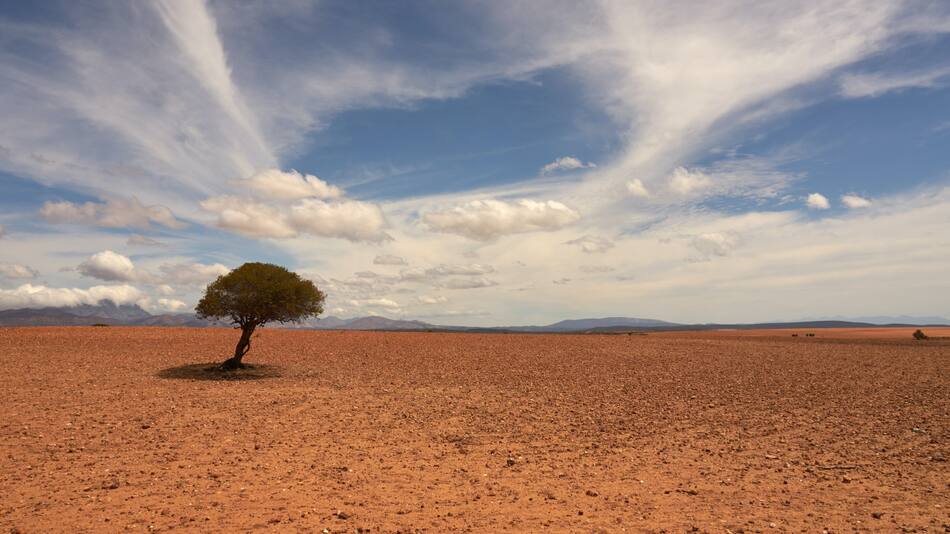 Calentamiento global. Foto: Unsplash