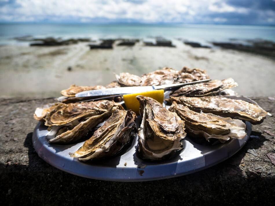 Ostras. Foto: Unsplash