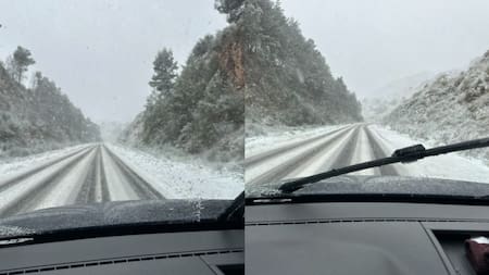 Nevadas en Sierra de la Ventana. Foto: X / @pelizzari_ramos.