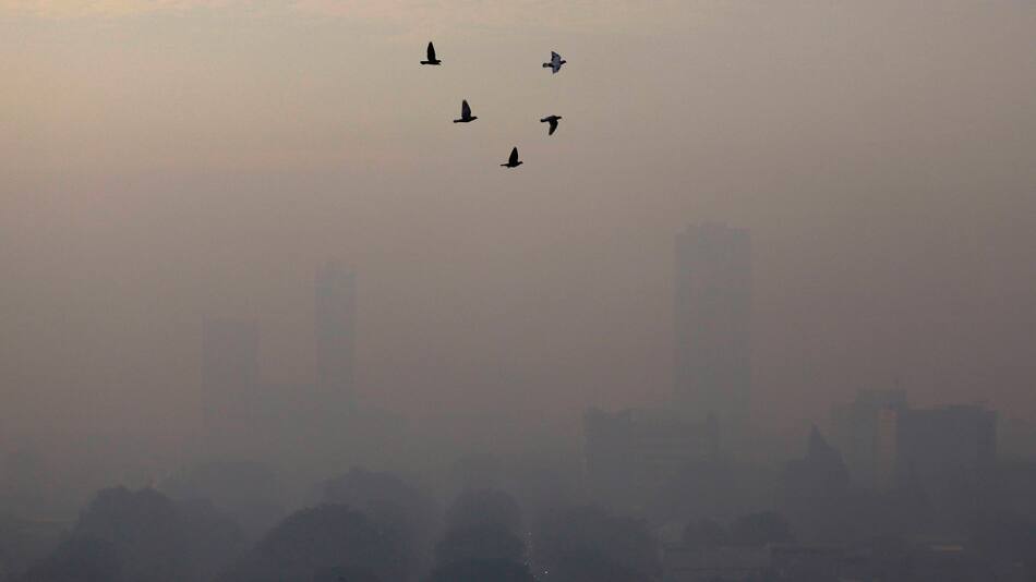 Pájaros vuelan en una mañana con humo en Yakarta, Indonesia. Foto: Reuters.