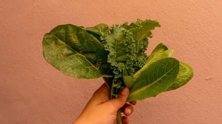 Alimentación a base de plantas. Foto: Unsplash