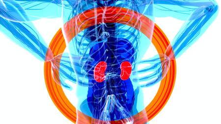 El cáncer renal es el quinto tumor más frecuente en la Argentina. Foto: Unsplash.