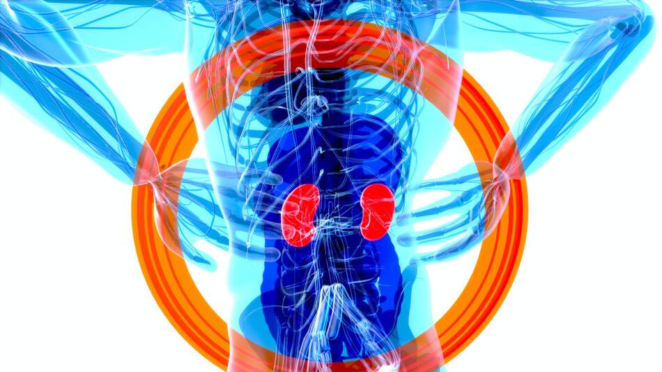 El cáncer renal es el quinto tumor más frecuente en la Argentina. Foto: Unsplash.