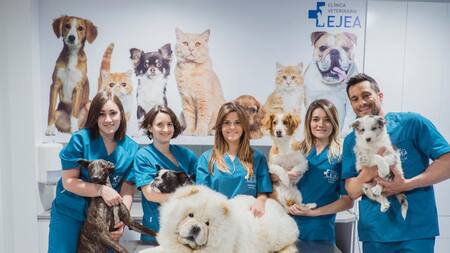 Veterinarios