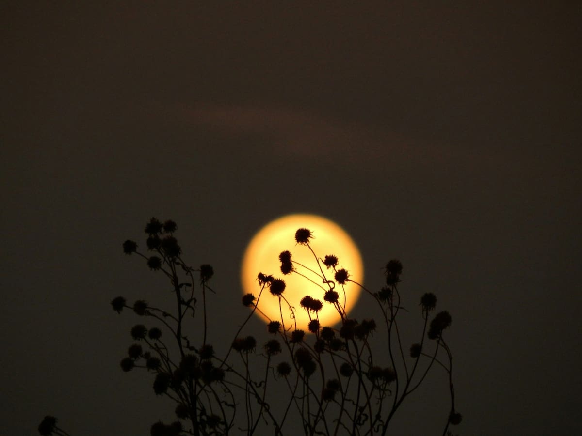 Luna, microluna. Foto Unsplash