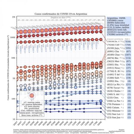 Curva de casos en Argentina actualizada con los reportes matutinos y vespertinos, @TotinFraire
