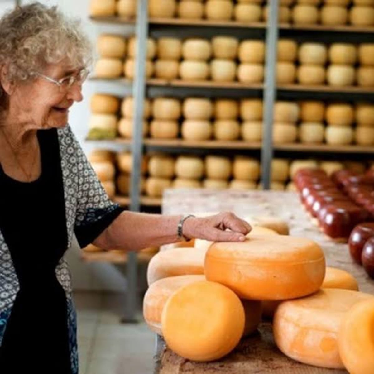 Variedad de quesos artesanales expuestos en el Festival del Queso de Los Toldos, con productos regionales como Gouda, en un evento gastronómico abierto al público