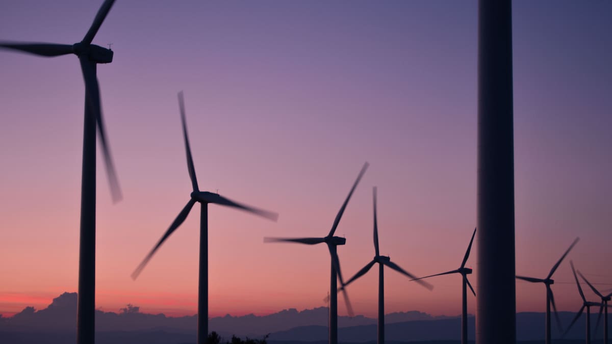 El uso de la energía eólica para reducir las emisiones de CO2. Foto: Unsplash