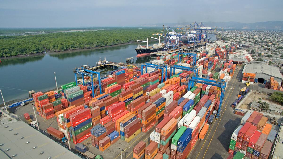 Las exportaciones subieron 30,1%.