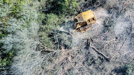 Deforestación en el norte de Argentina. Foto: Gentileza Greenpeace.