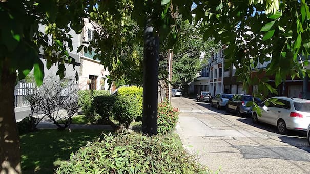 La única calle de CABA que nace y muere en el mismo lugar: no está en Palermo y homenajea a un pájaro