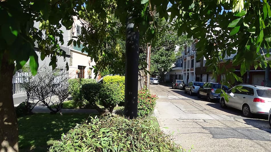 La singularidad está en su forma de letra "C"