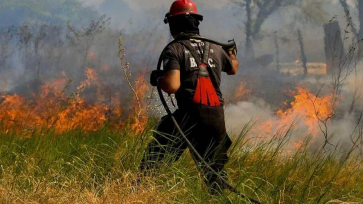 Incendios en Corrientes, foto NA