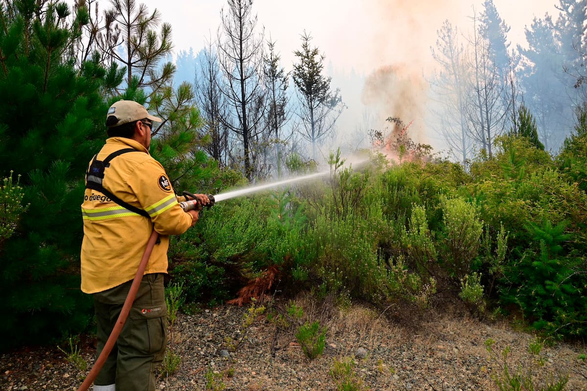 Incendios en el Parque Nacional Los Alerces