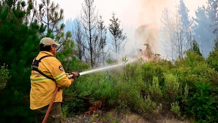 El Gobierno intervino el Parque Nacional Los Alerces en medio de los incendios forestales en la Patagonia