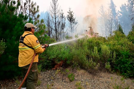 Incendios en el Parque Nacional Los Alerces