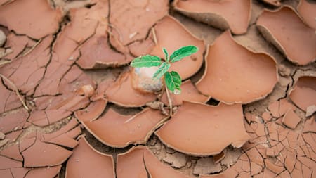 Crisis climática: el mundo experimentó el tercer septiembre más cálido registrado