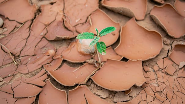 Crisis climática: el mundo experimentó el tercer septiembre más cálido registrado