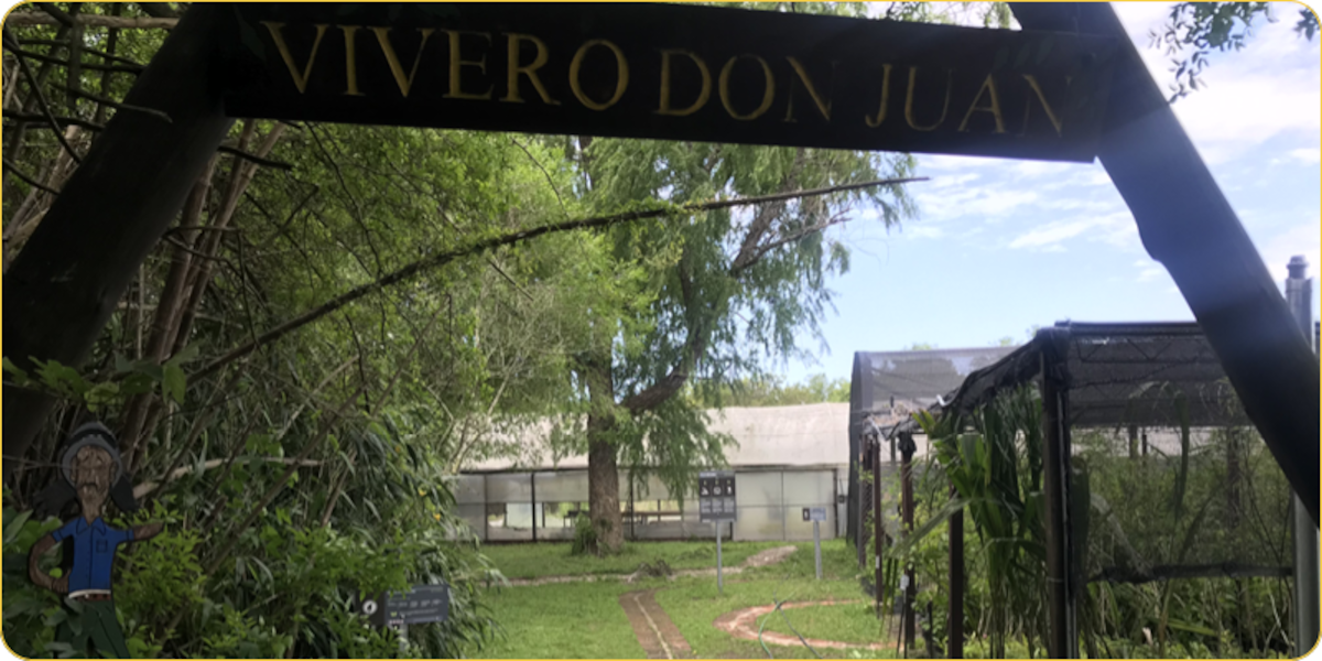 Sendero Recuperando lo Nuestro