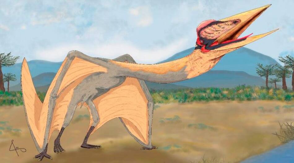 Pterosaurio. Foto: CONICET.