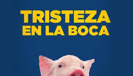 Memes de River vs. Boca - La página millonaria