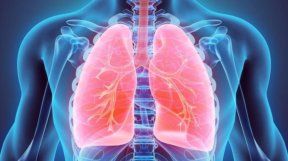 La fibrosis quística ataca especialmente a los pulmones. Foto: Unsplash.