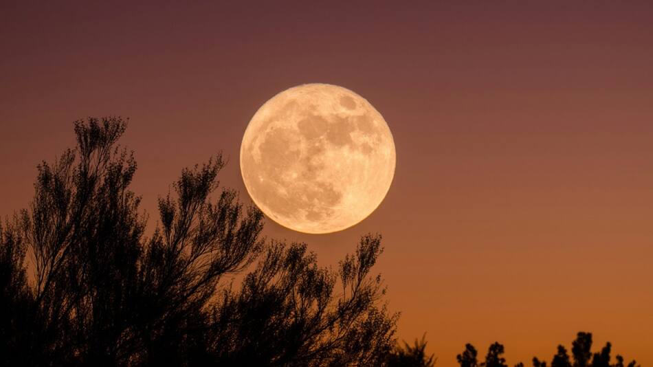 Luna llena. Foto: Unsplash.