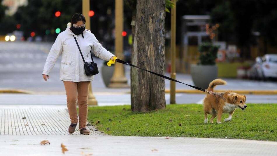 Coronavirus en Argentina, AGENCIA NA