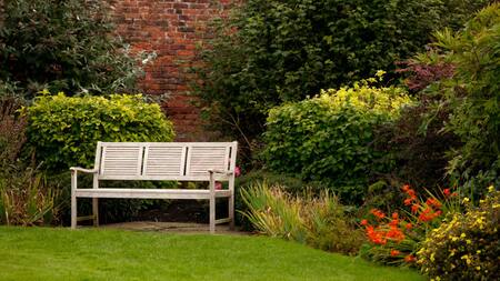 La envidia de los vecinos: el truco infalible para tener el mejor césped en tu jardín con un producto de tu casa