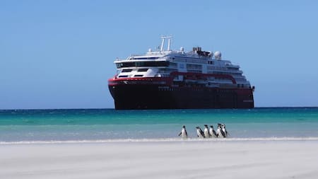 Los delfines de la especie calderón fueron encontrados muertos en las playas de la isla Águila