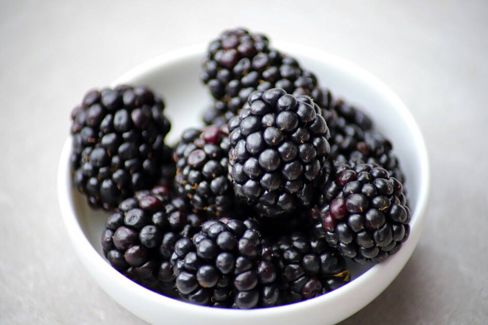 Moras. Foto Unsplash.