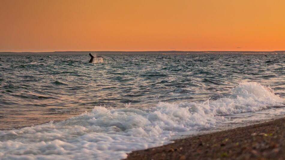 Playa Las Canteras, Chubut. Foto: Google Maps.