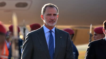 Rey Felipe VI. Foto: EFE.