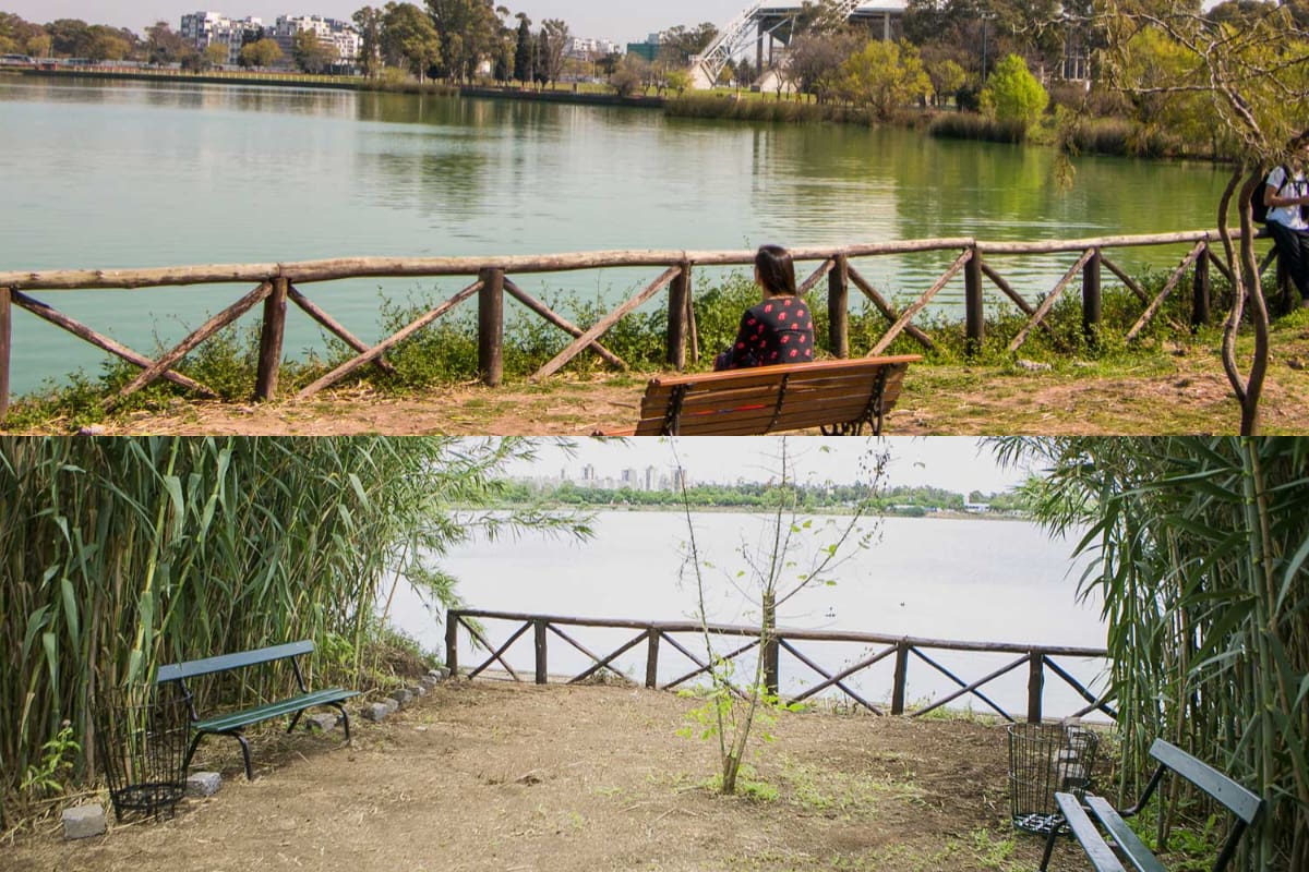 La transformación de este antiguo basural clandestino en un refugio de flora y fauna representa mucho más que una obra de recuperación paisajística.