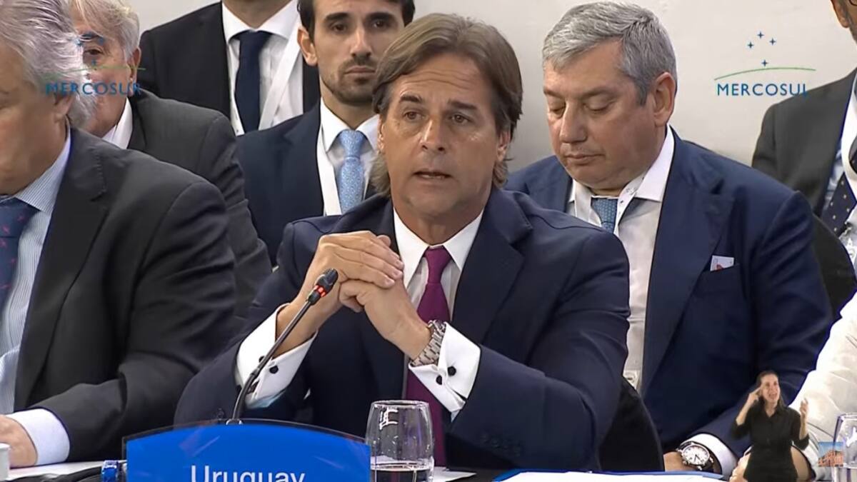 Luis Lacalle Pou en Cumbre del Mercosur en Argentina. Foto: captura de video.