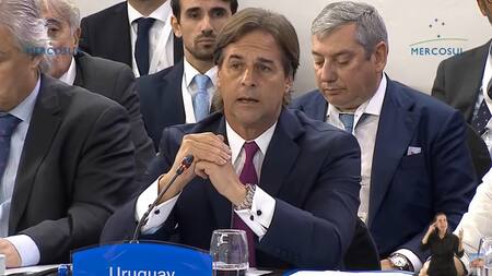 Luis Lacalle Pou en Cumbre del Mercosur en Argentina. Foto: captura de video.