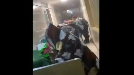 Un hospital, afectado por el huracán Otis en México. Foto: Captura de video.