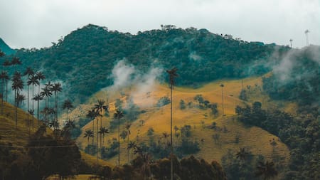 Colombia, un país con paisajes muy diversos. Foto: Unsplash