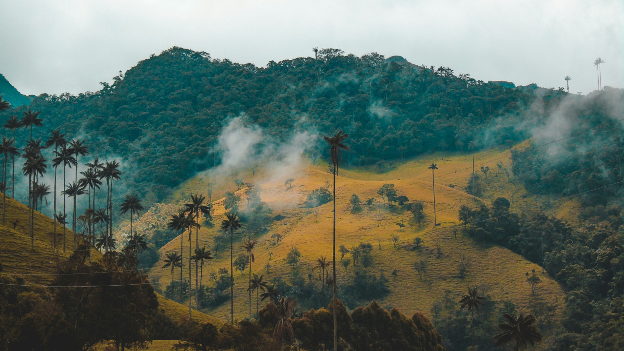 Colombia, un país con paisajes muy diversos. Foto: Unsplash