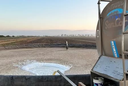 Derrame de leche de SanCor.