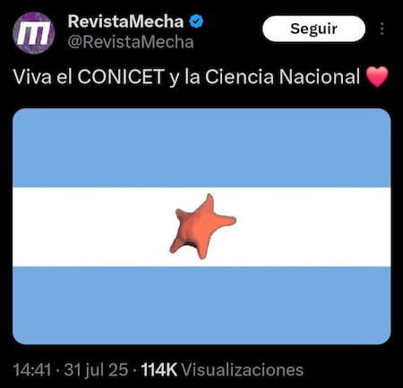 Memes del stream del CONICET que causa furor.